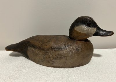 Frank Schmidt Ruddy Duck